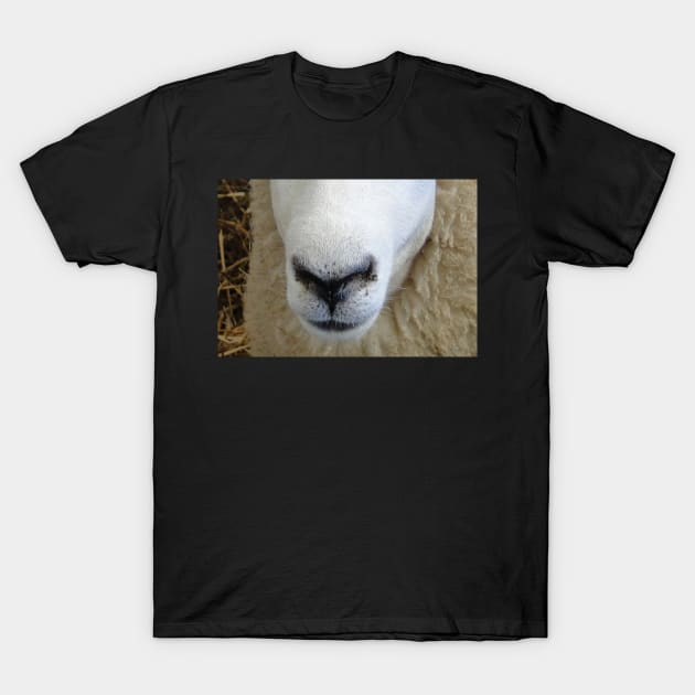 Sheep Snout 3 T-Shirt by AH64D